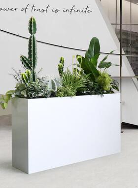 彷真仙人掌绿植造景室内假植物隔断摆件户外花箱热带沙生植物装饰