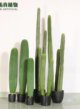 仿真仙人球仙人掌盆栽植物商场人造仙人柱大型仙人棒造景仿真绿植