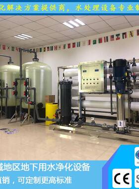 厂家直销6T/H苦咸水设备去除高含量氯离子过滤器盐碱地下水净化器
