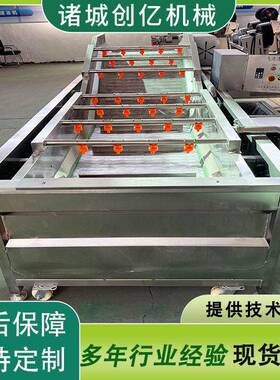 网带式蔬菜气泡清洗机 油麦菜鼓泡清洗机 果蔬喷淋式清洗设备