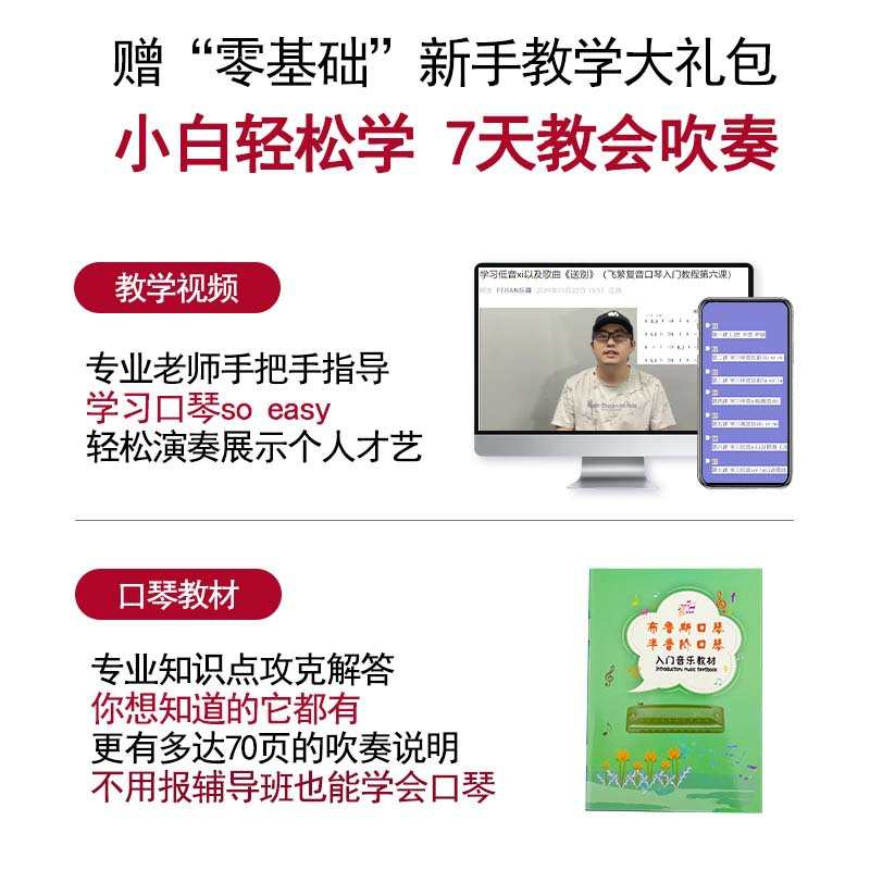 未来星多色可选10孔口琴C调布鲁斯口琴初学演奏十孔口琴Harmonica - 图2