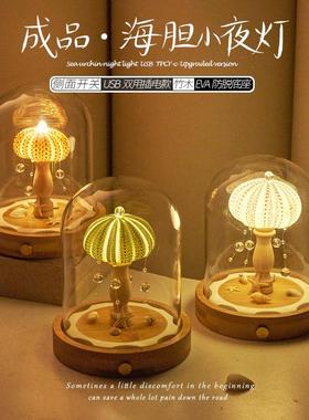 贝壳海胆小夜灯玻璃罩子成品diy材料包团建活动伴手生日礼物摆件