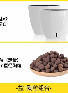 自吸水自动懒人白掌养浇水养花套盆绿萝绿箩免储水花盆盆水养盆栽
