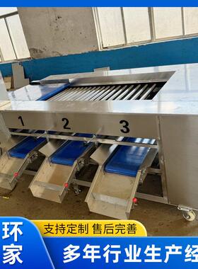 橙子芒果滚杠式水果分选机红薯土豆天麻滚杠大小分拣机不伤果