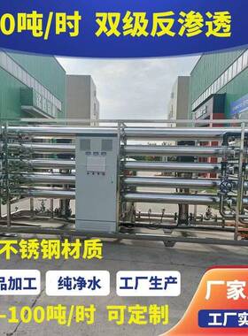 大型工业级双级ro反渗透设备水处理纯净水纯化水超纯水制水装置