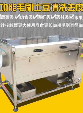毛刷大枣清洗机商用核桃清洗机全自动红枣清洗抛光机水果清洗机器