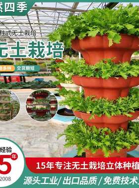 厂家无土立柱无土栽培立体种植大棚立柱无土栽培设备无土栽培