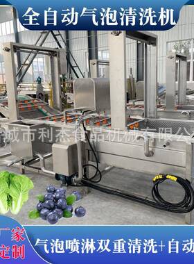 蓝肝菜气泡清洗机油麦菜果蔬清洗机设备板蓝根青菜鼓泡清洗线