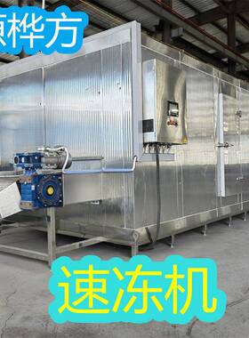 低温隧道冻机荠菜漂烫沥水流水线荷兰豆速冻机技术服务