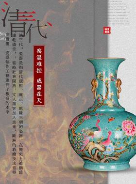 艾饰佳景德镇陶瓷花瓶手绘珐琅彩插花收藏客厅书房博古架装饰摆件