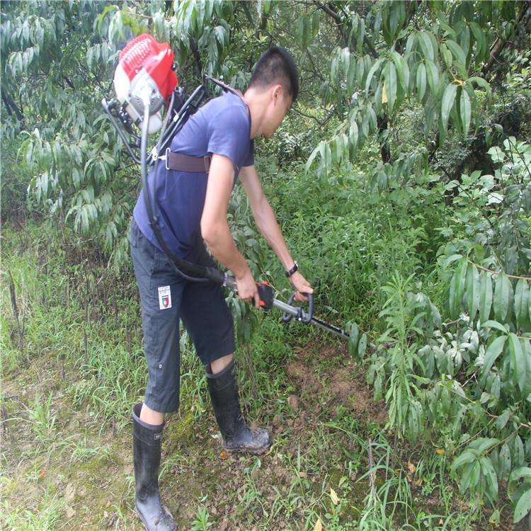 Sasaki brand orchard vineyard tea garden scarifier micro tiller weeder Brush cutter