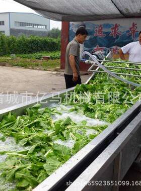 商用翻浪式红枣气泡清洗机食品外包装去油设备不锈钢气泡清洗机