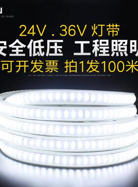 3V户外防水LE隧D灯带24V0NBG工程道塔吊工地楼梯照明养殖22V6灯带