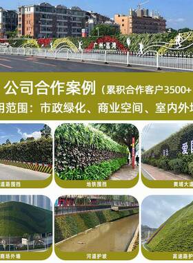 绿化植物墙户外垂直立体种植槽围挡真植物种植盒绿植墙植物种植盒