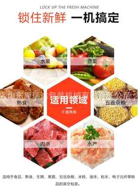 干湿两用封口机牛肉干熟食真空包装机风干鸡坚果休闲零食抽空机