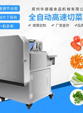 食堂饭店多功能小型切菜机商用果蔬柠檬切片机根茎类材切片机
