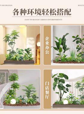 彷真绿色植物造景南天竹组合橱窗装饰阳台假植物景观玄关室内氛围