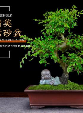 紫砂花盆仿古四方长方形精品兰花盆假山多肉法师阳台盆景跨境园艺