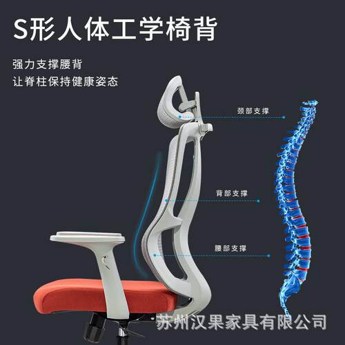 家用办椅舒适电脑人体工学护职员椅逍遥脑椅可腰公升降电宿舍椅子 - 图0