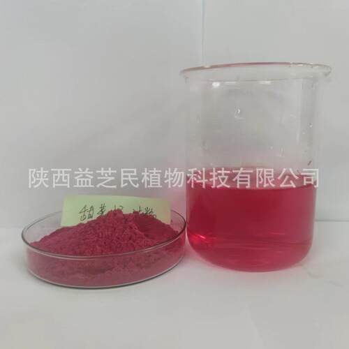 甜菜根汁粉 甜菜根提取物 现货 甜菜根粉 附三方检测 - 图0