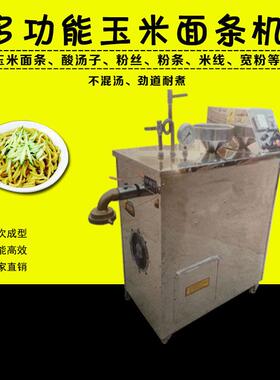 厂家直发玉米面条机 小型杂粮面条机 多功能杂粮自熟面条机冷面机