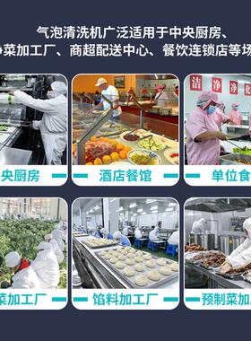 小型商用果蔬清洗消毒机预制菜工厂原料处理提质效农产品清洗机