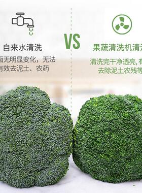 多功能涡流清洗机商用果蔬气泡清洗机大型全自动叶菜类洗菜生产线