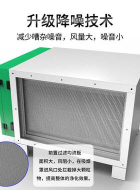 双尼低空油烟净化器饭店厨房效除烟味净化过滤学校食堂低空排烟