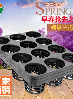 厂家直销 托盘育苗容HDL1215器 托15孔蝶兰托盘 育苗架 台州蝴为