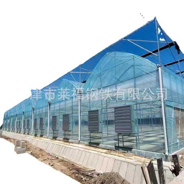 厂家薄膜连栋温室大棚花卉水果蔬菜大棚农业观光种植大棚骨架安装,淘宝优惠券,粉丝福利购,淘宝优惠卷