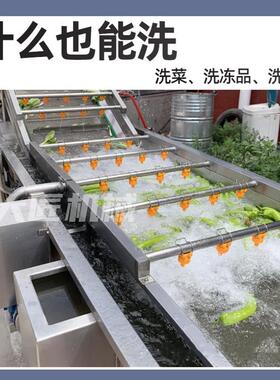 气泡清洗机商用大型瓜果肉类龙虾海产品果蔬洗菜机解冻机流水线