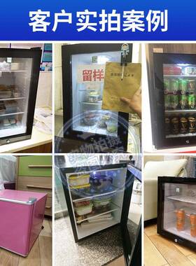 绿零小冰箱双锁食品留样柜酒店幼儿园学校餐厅冰吧家用冷藏保鲜