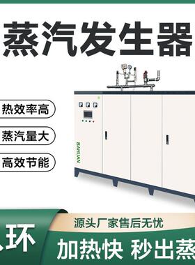 工厂直发电磁蒸汽发生器桥梁养护蒸汽机八环新能