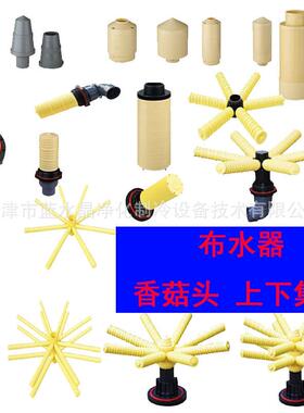 蓝水晶0.25吨纯化水设备高纯水设备双级反渗透+EDI装置纯水设备