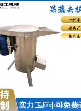 工业型商用水果去核机 芒果滇橄榄木瓜不锈钢脱核机 快速去核打泥