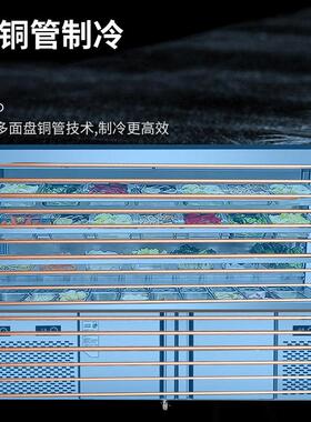 麻辣烫展示柜冷藏商用设备全套保鲜柜串串柜冒菜风幕柜点菜柜