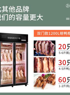 晾鸭柜商用晾胚柜风冷烤鸭风干柜吹鸭柜保鲜鸡鹅烧腊柜除湿挂鸭机