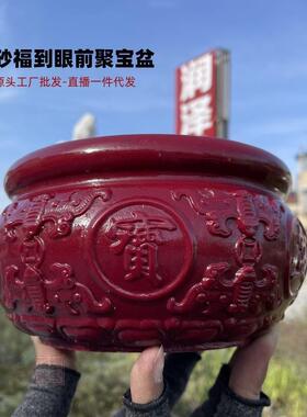 财朱砂特大眼号福10072879家到前双龙聚聚宝盆居