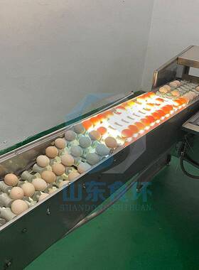鸭蛋重量分级鸡蛋分选设备蛋电子重量分级机蛋视觉裂纹蛋检测