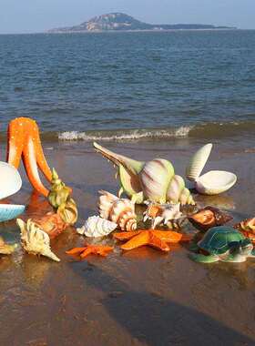 仿真大贝壳摆件海螺瑚地章鱼工艺品模型海洋珊馆店酒落6514装饰雕