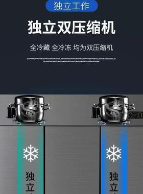 六门冰箱商用大容量展示柜冷藏冷冻立式双温厨房六开门保鲜冰柜