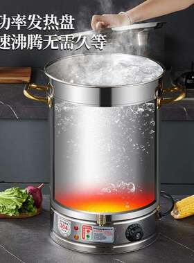 电热烧水桶开水桶商用自动恒温蒸煮烧水桶煮艾草煮清汤大容量