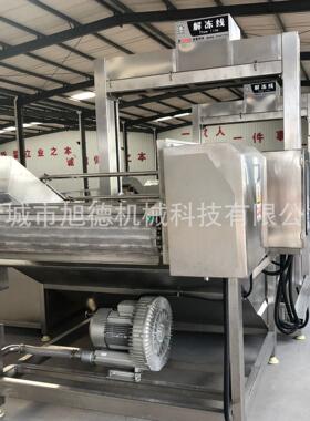 厂家直销水浴式食品冻盘解冻机商用速冻牛肉解冻设备牛腱肉解冻机