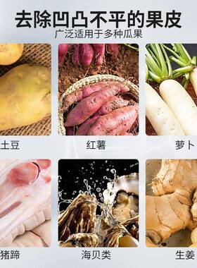 土豆清洗去皮机毛辊清洗机芋头红薯材莲藕去泥清洗机小型洗姜机
