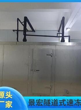 大型商用果蔬速冻机 西花花果速冻机无薯条兰速冻流水 958线景宏