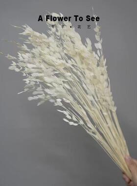 白色干燥花奶油风真花花束摆件装饰宿舍蓬莱松龙须草粉黛满天星棉