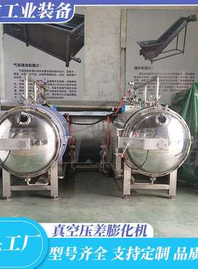 草莓干全自动真空膨化机械椰子片膨化机芒果商用膨化设备