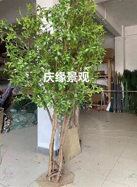 仿真马醉木绿植梫木书房桌面点缀卧室角落布置显简约自然风格
