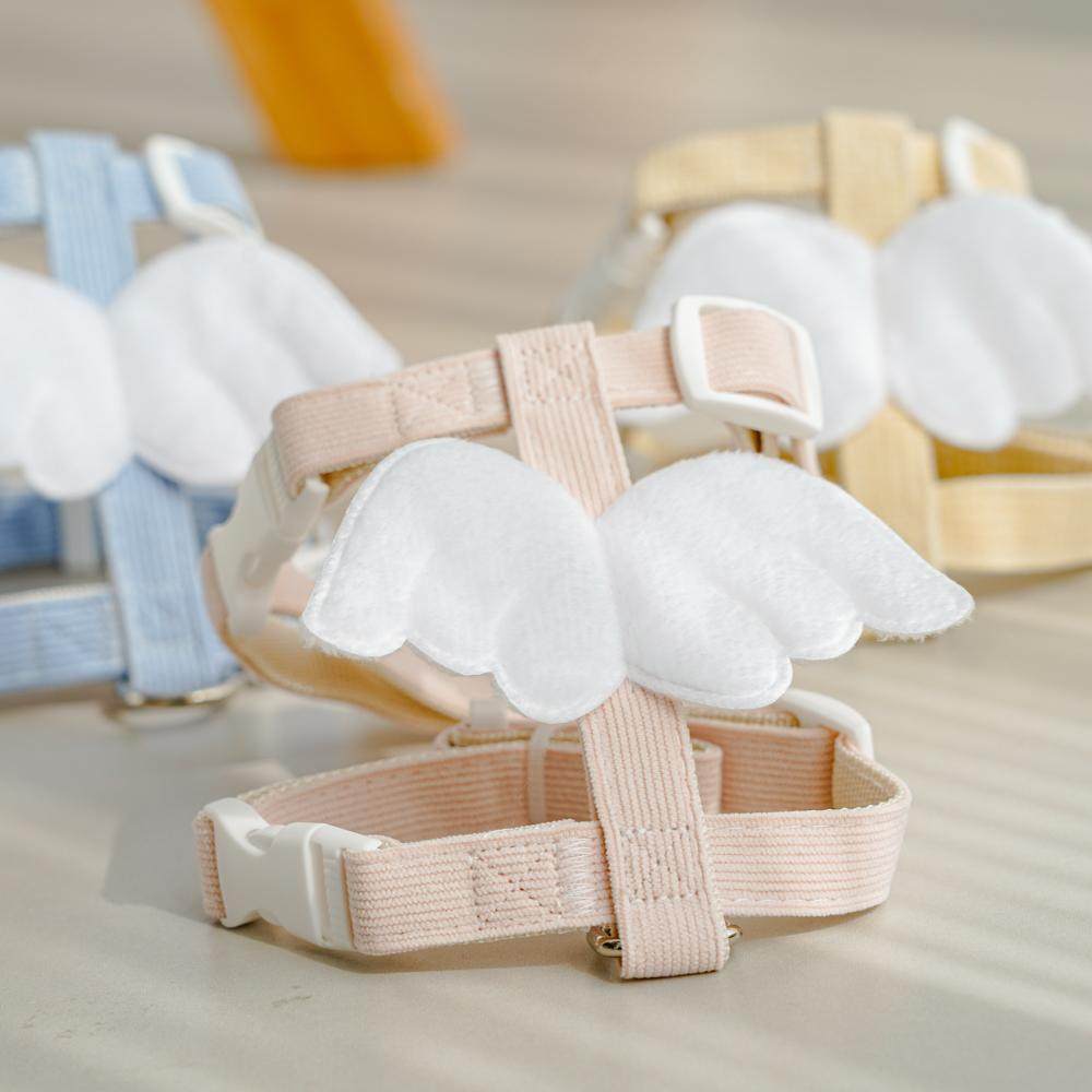 翅膀猫咪外出牵引绳工字型宠物防挣脱狗狗牵引绳小型犬可爱遛猫绳,淘宝优惠券,粉丝福利购,淘宝优惠卷