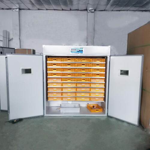 孵化器全自动智能大型孵化机鸡蛋孵化机跨境家用型小鸡孵化器厂家 - 图2